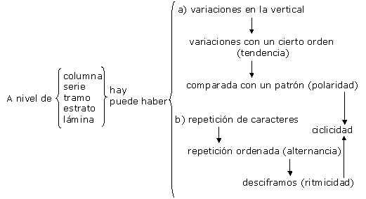 Conceptos relacionados con la polaridad y ritmicidad
