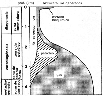 Fases en la ormación de hidrocarburos