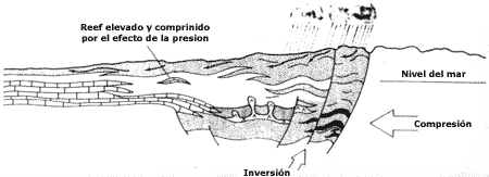 Estapa de compresión e inversión