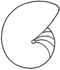 Involuta