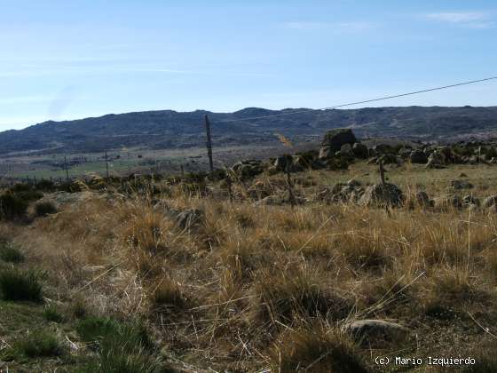 Gallegos de Altamiros: Rampa Estructural