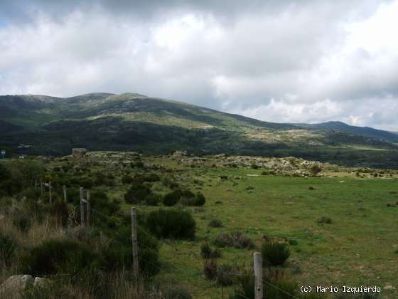 Narrillos del Rebollar