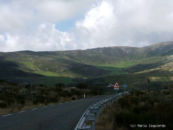 Narrillos del Rebollar