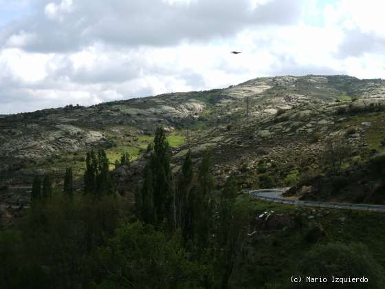 Narrillos del Rebollar