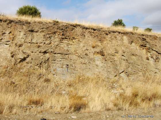 Ortigosa de Rioalmar: Ordovícico basal