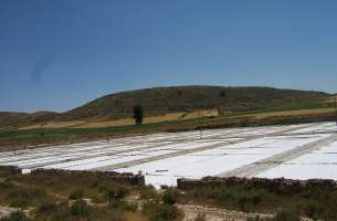 Imón: Salinas