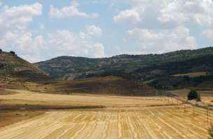 Loranca de Tajuña: Series Neógenas