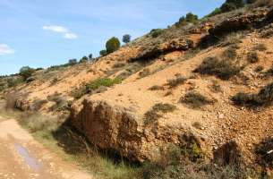 Moranchel: Depósitos del Mioceno