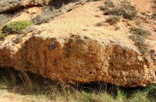 Moranchel: Conglomerados