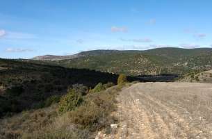 Villaseca de Henares: Mioceno