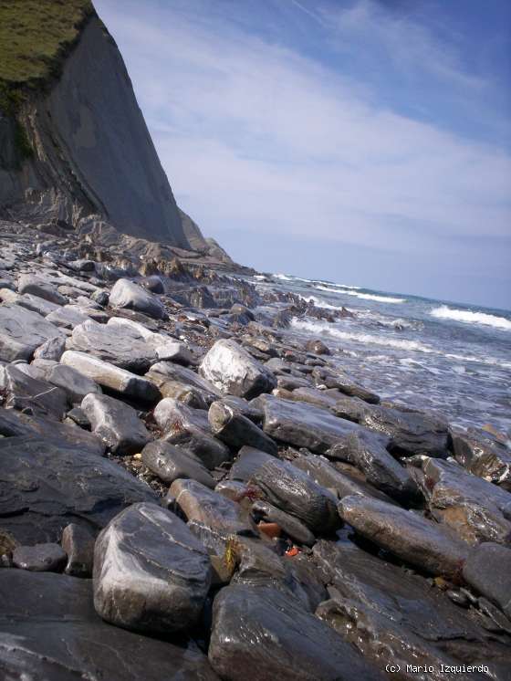 Flysch y Rasa mareal