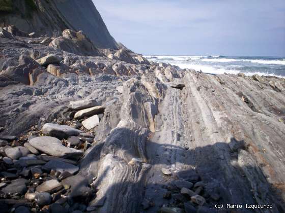 Flysch y Rasa mareal