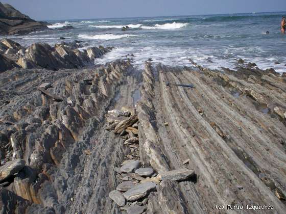 Flysch y Rasa mareal