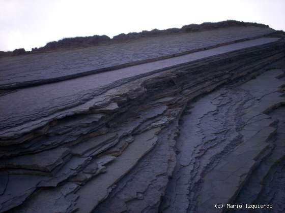 Flysch y Rasa mareal