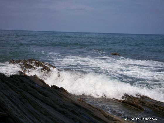 Flysch y Rasa mareal