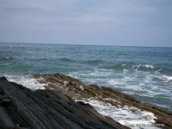 Flysch y Rasa mareal