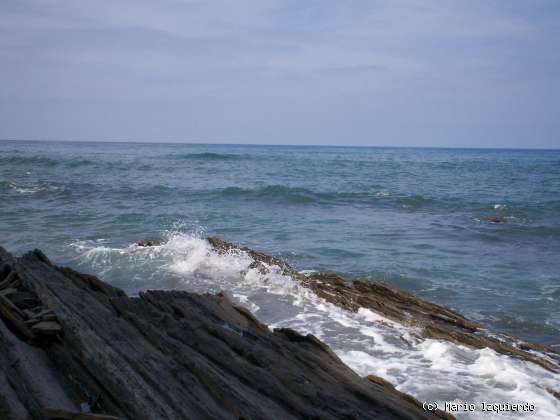 Flysch y Rasa mareal