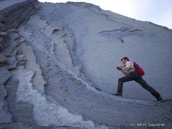 Flysch y Rasa mareal