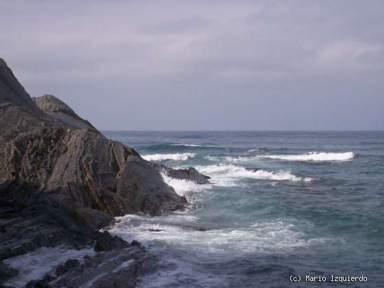 Flysch y Rasa mareal