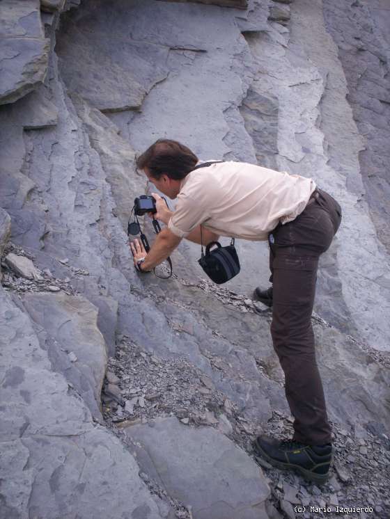 Flysch y Rasa mareal