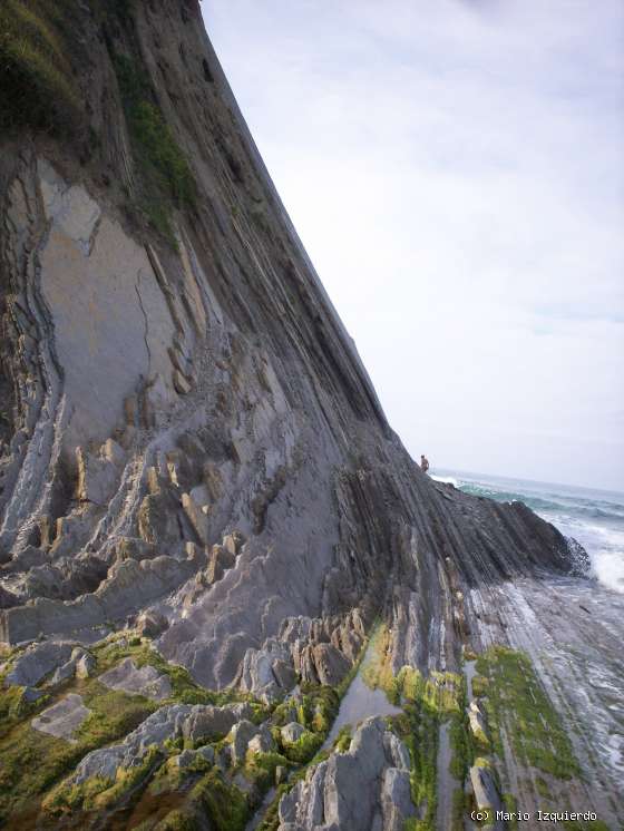 Flysch y Rasa mareal