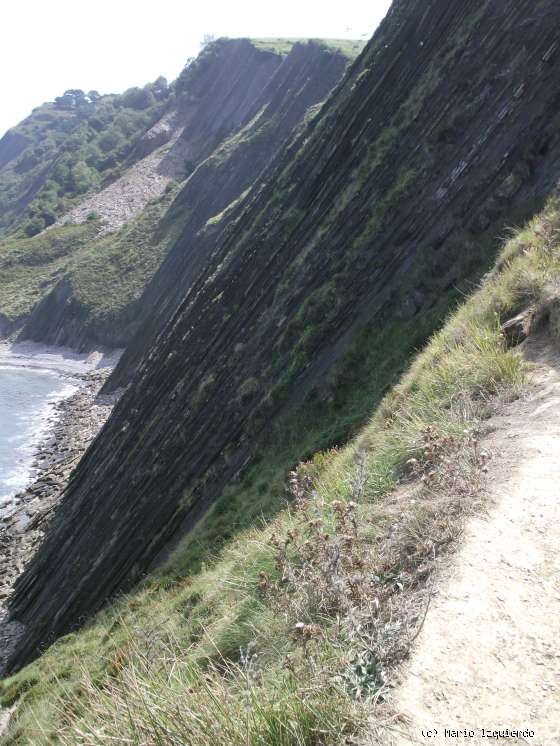 Flysch y Rasa mareal
