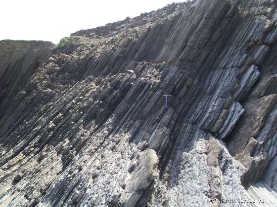 Flysch y Rasa mareal