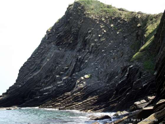Flysch y Rasa mareal