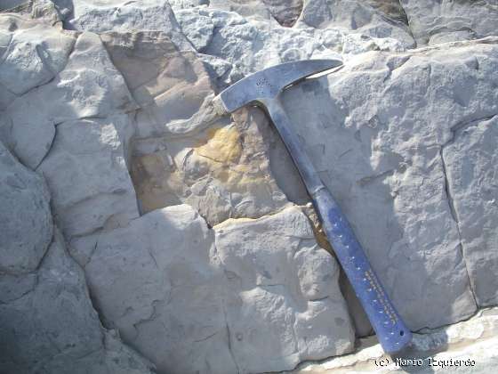 Flysch y Rasa mareal