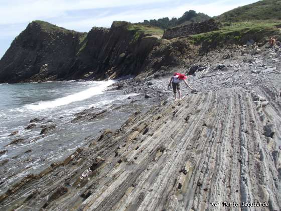 Flysch y Rasa mareal