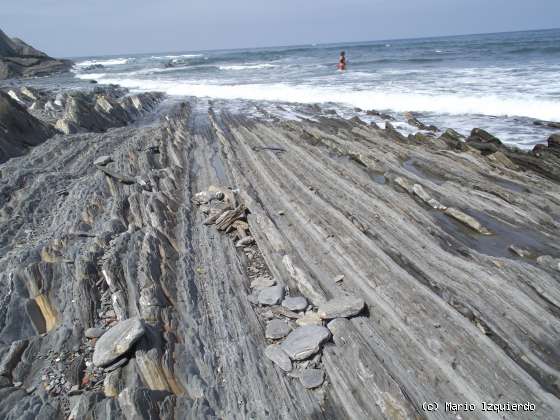 Flysch y Rasa mareal