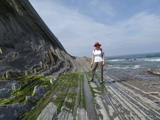 Flysch y Rasa mareal