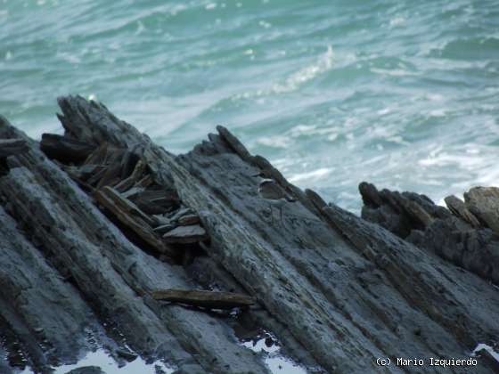 Flysch y Rasa mareal