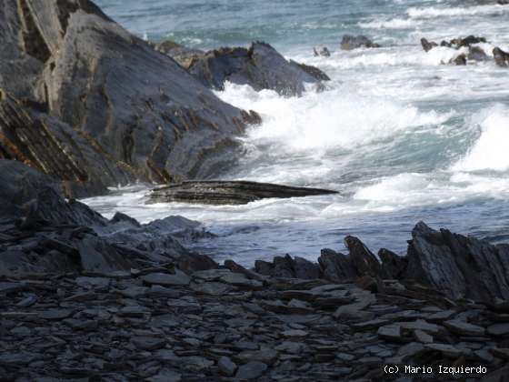 Flysch y Rasa mareal