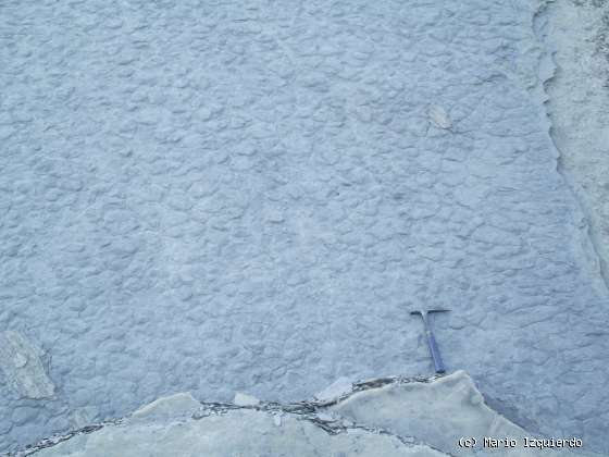 Flysch y Rasa mareal