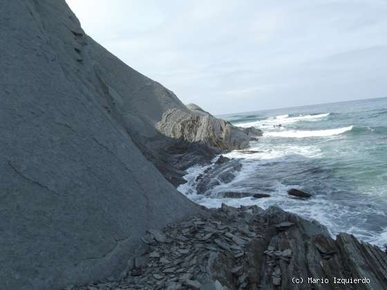 Flysch y Rasa mareal