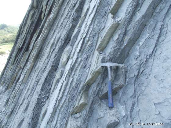 Flysch y Rasa mareal