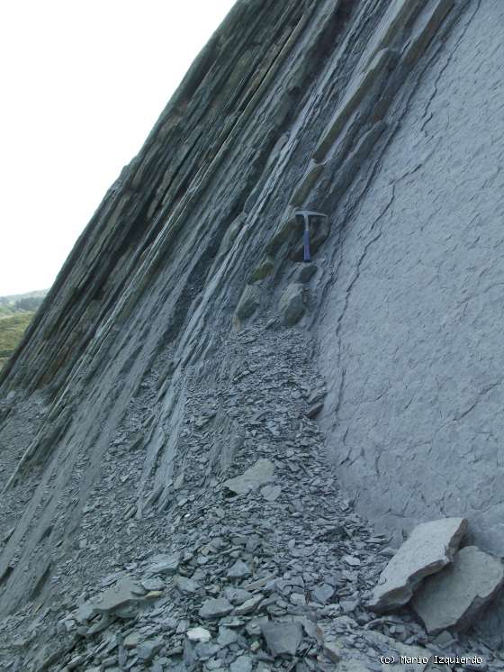 Flysch y Rasa mareal