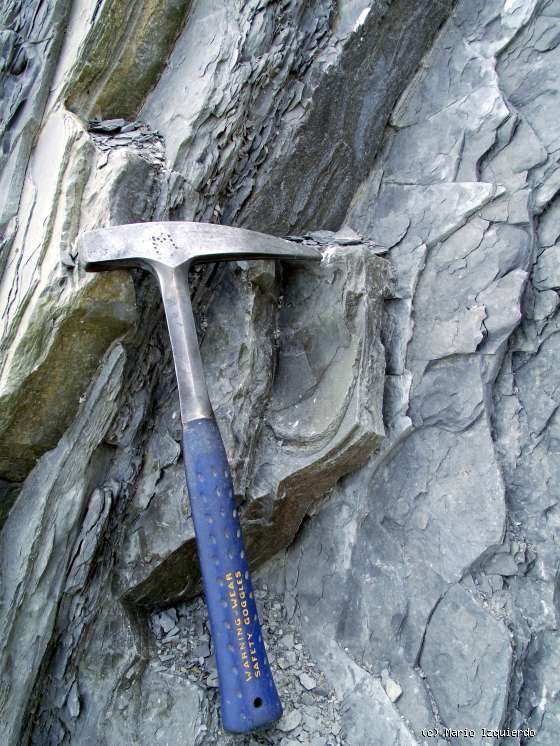 Flysch y Rasa mareal