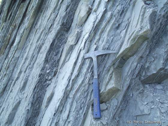 Flysch y Rasa mareal