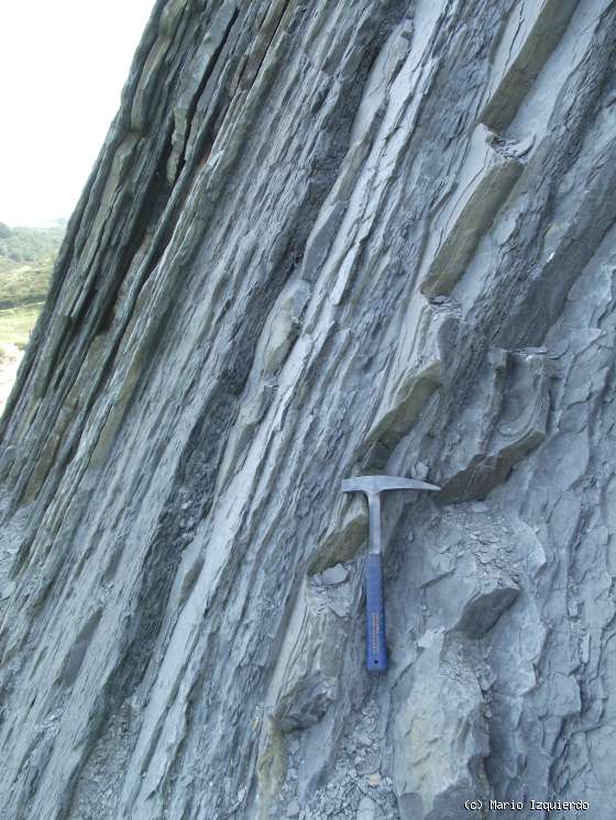 Flysch y Rasa mareal