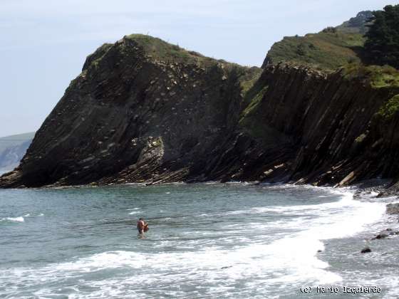 Flysch y Rasa mareal