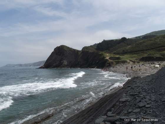 Flysch y Rasa mareal