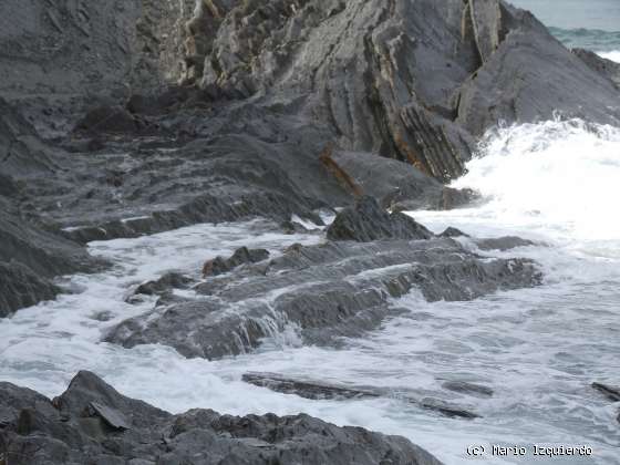 Flysch y Rasa mareal
