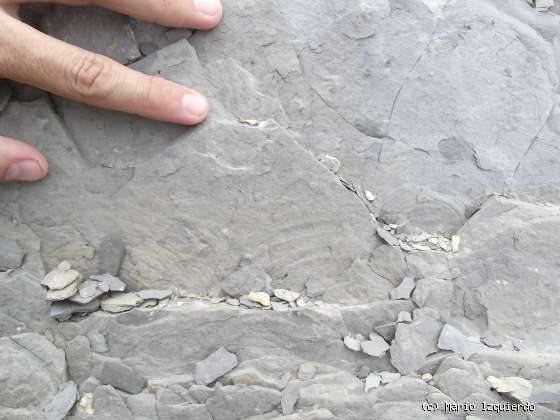 Flysch y Rasa mareal