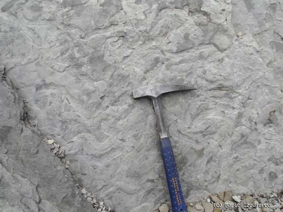 Flysch y Rasa mareal
