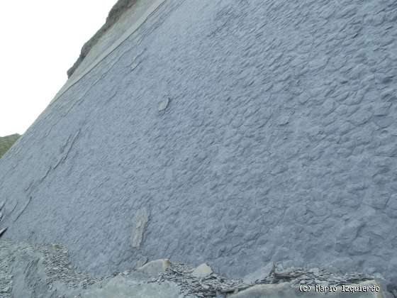 Flysch y Rasa mareal