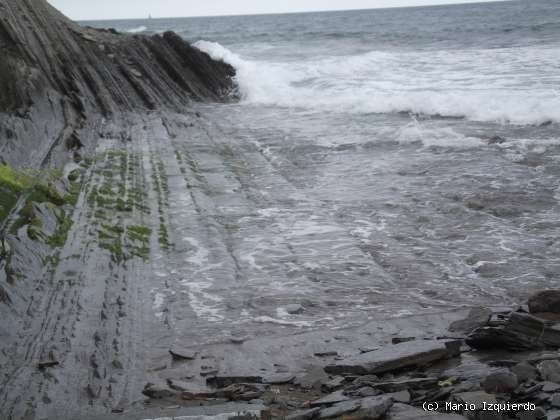 Flysch y Rasa mareal