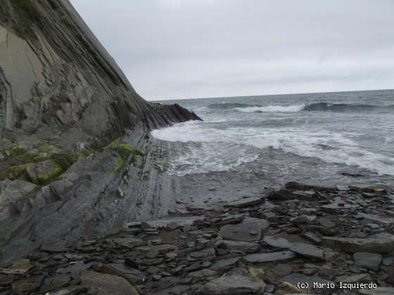 Flysch y Rasa mareal