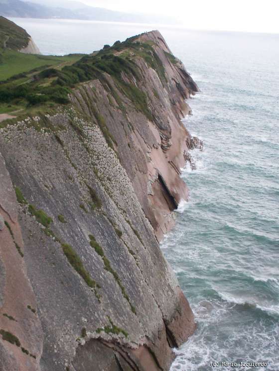 Límite K-T